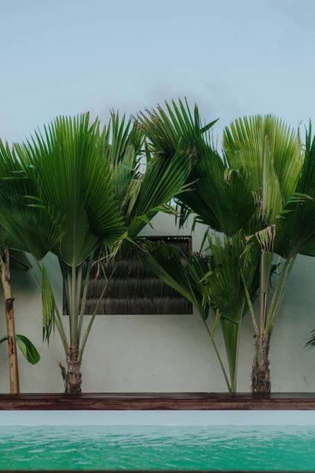 Breezy Chalet - Chale Havai Tutoia Luaran gambar