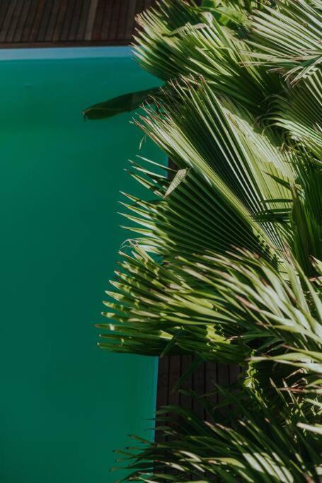 Breezy Chalet - Chale Havai Tutoia Luaran gambar